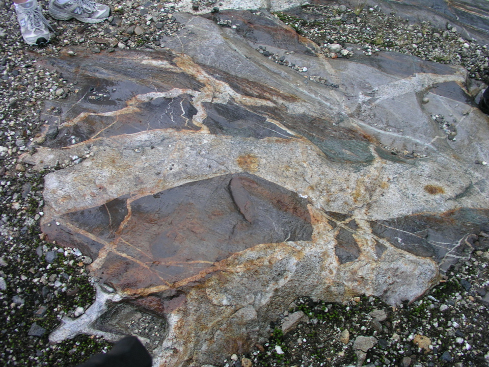P1010018.JPG