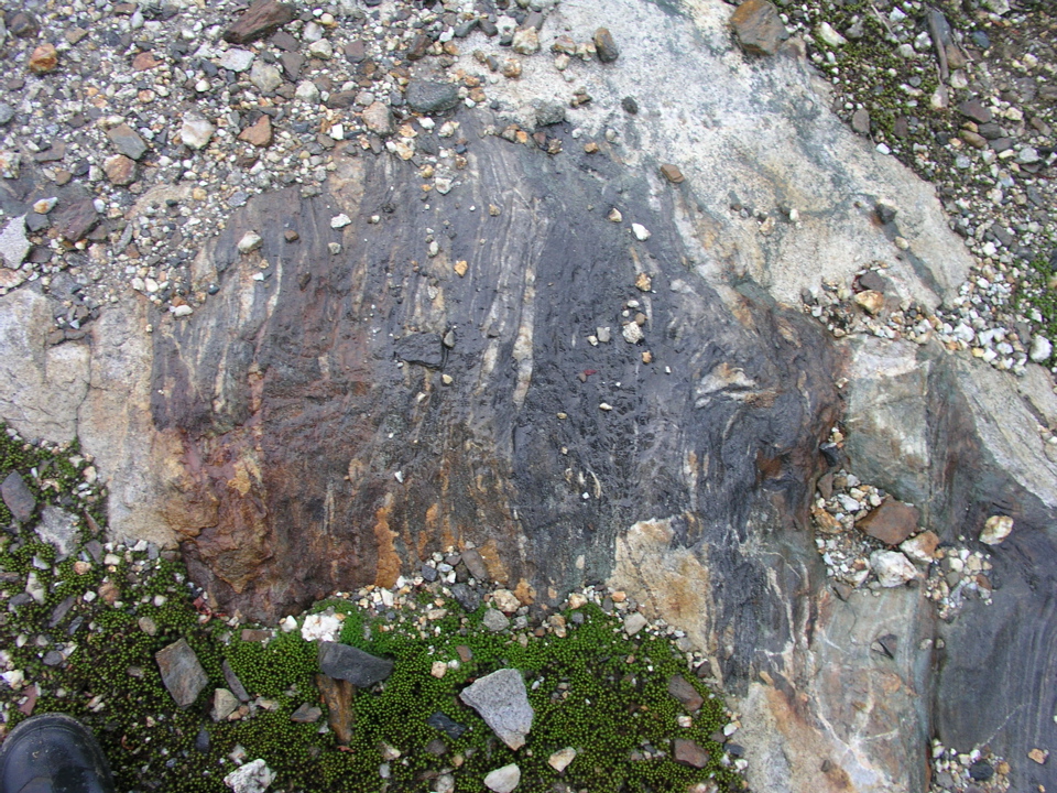 P1010002.JPG