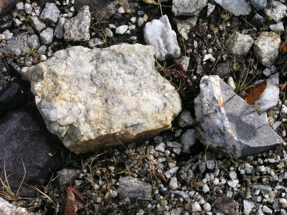 P1010031.JPG