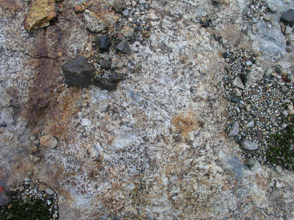 P1010004.JPG