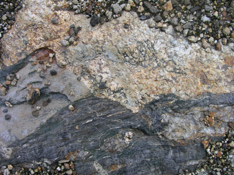 P1010006.JPG