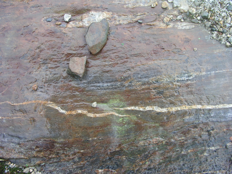 P1010007.JPG