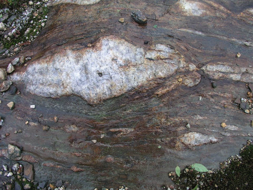 P1010008.JPG