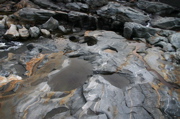 IMG_1767.JPG