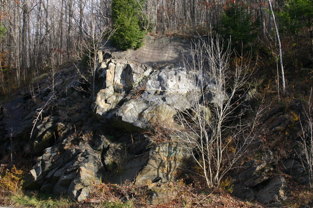 IMG_1617.JPG
