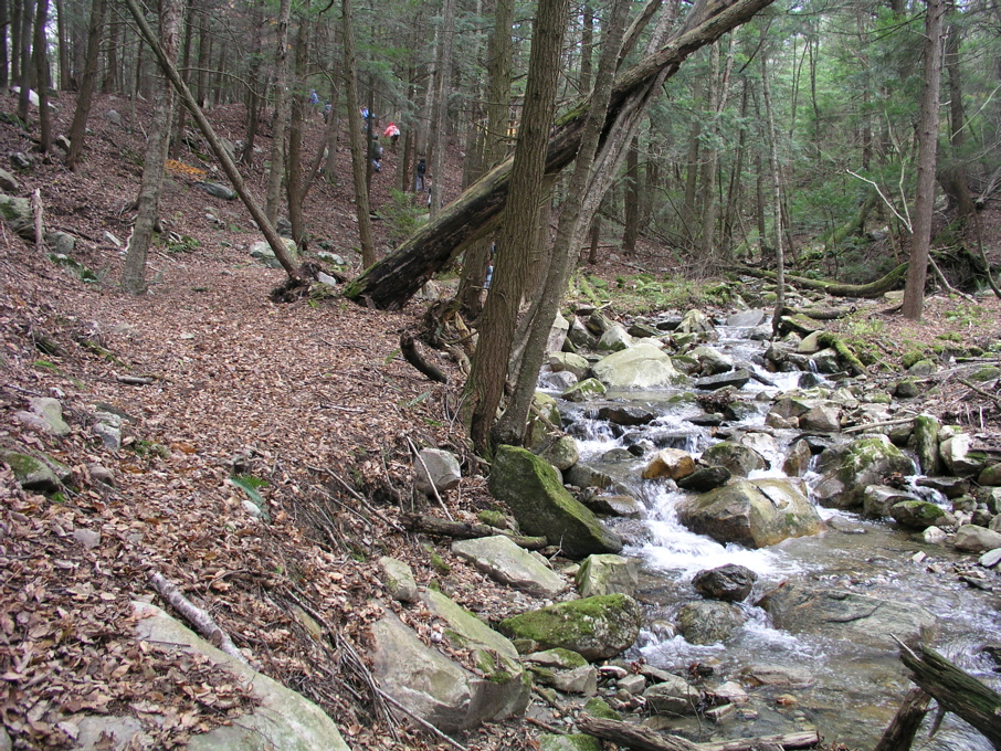 P1010091.JPG