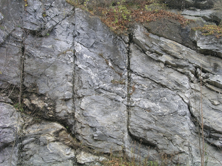 P1010100.JPG