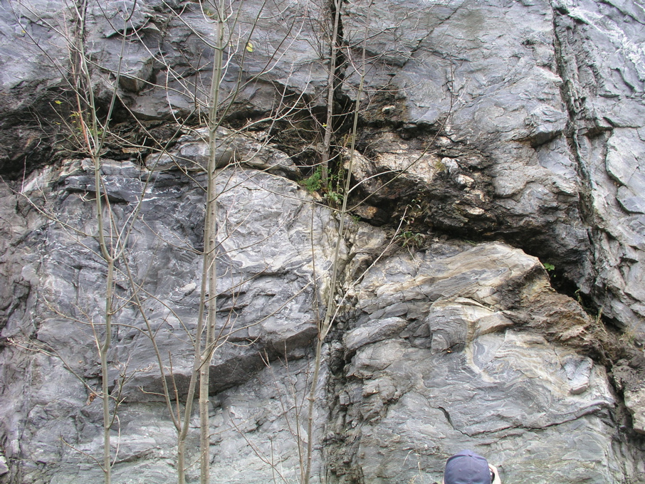 P1010101.JPG