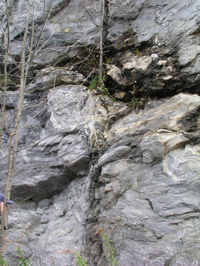 P1010102.JPG