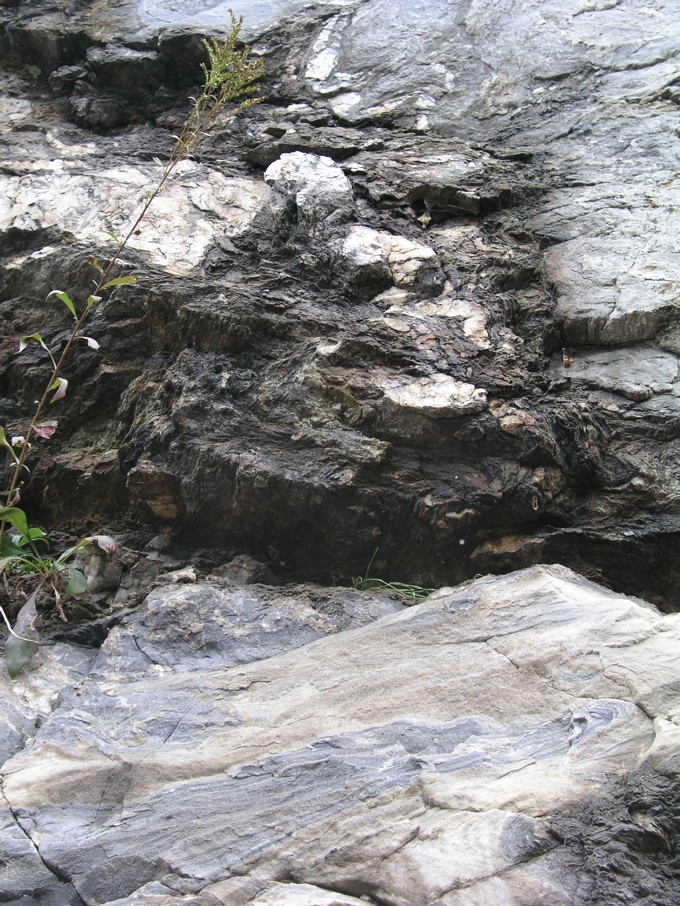 P1010105.JPG