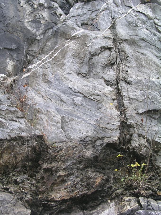 P1010108.JPG