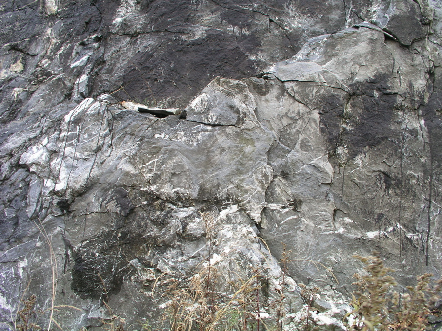 P1010111.JPG