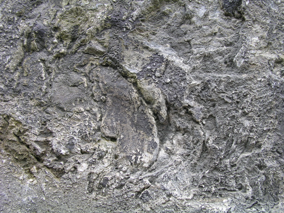 P1010114.JPG