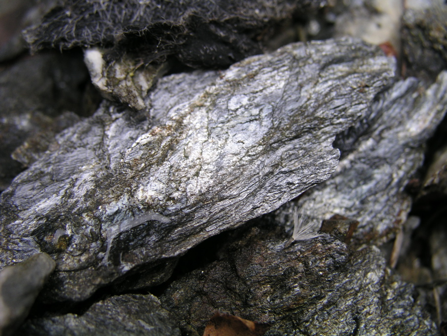 P1010120.JPG