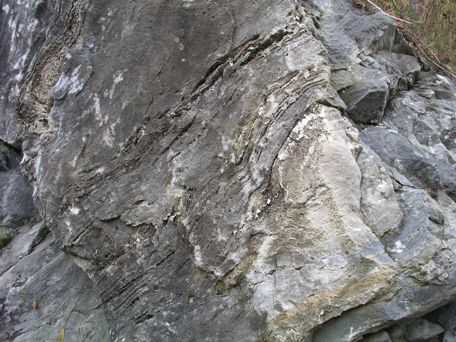 P1010121.JPG