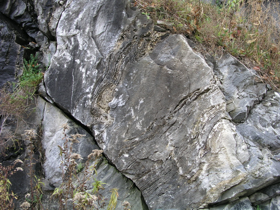 P1010124.JPG