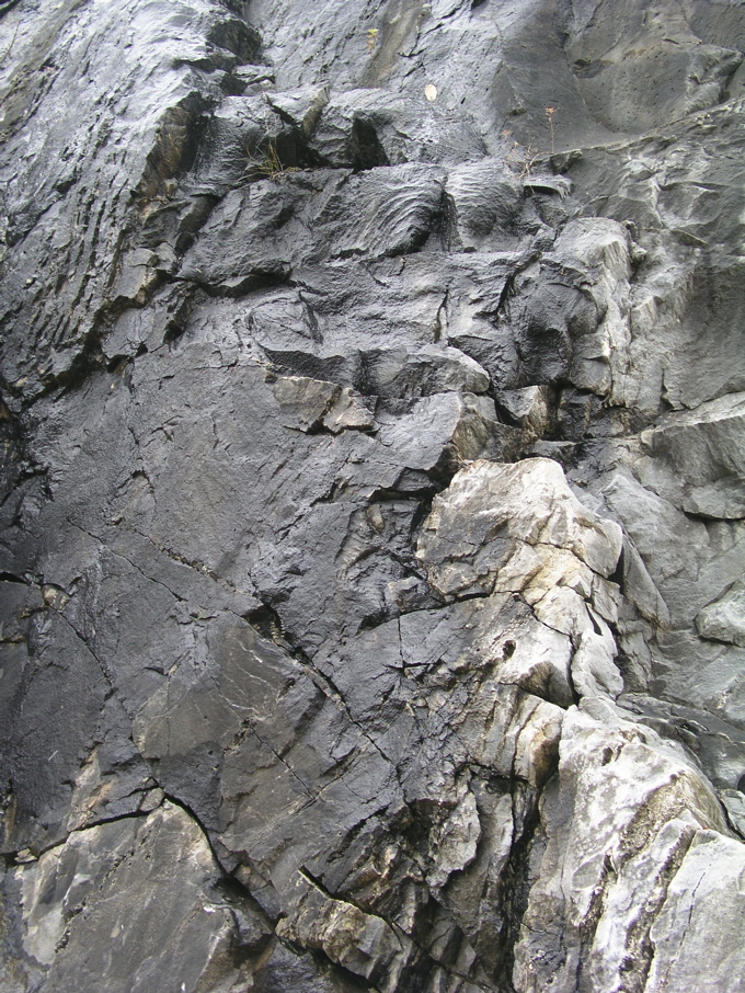 P1010125.JPG