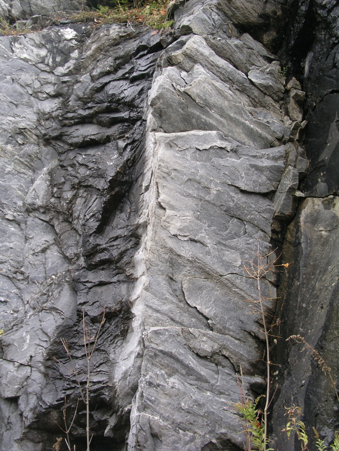 P1010126.JPG