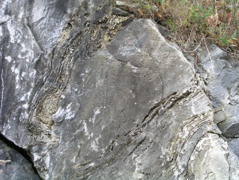 P1010127.JPG