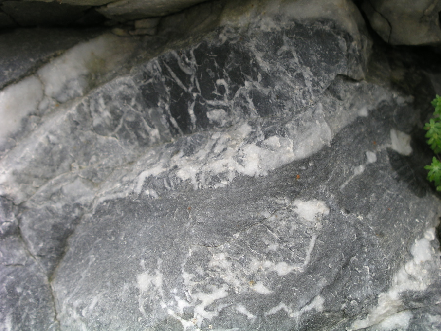 P1010129.JPG