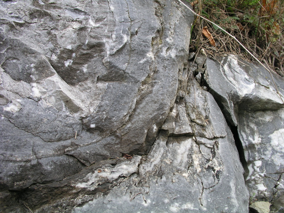 P1010131.JPG