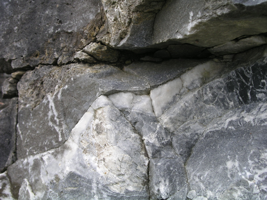 P1010132.JPG