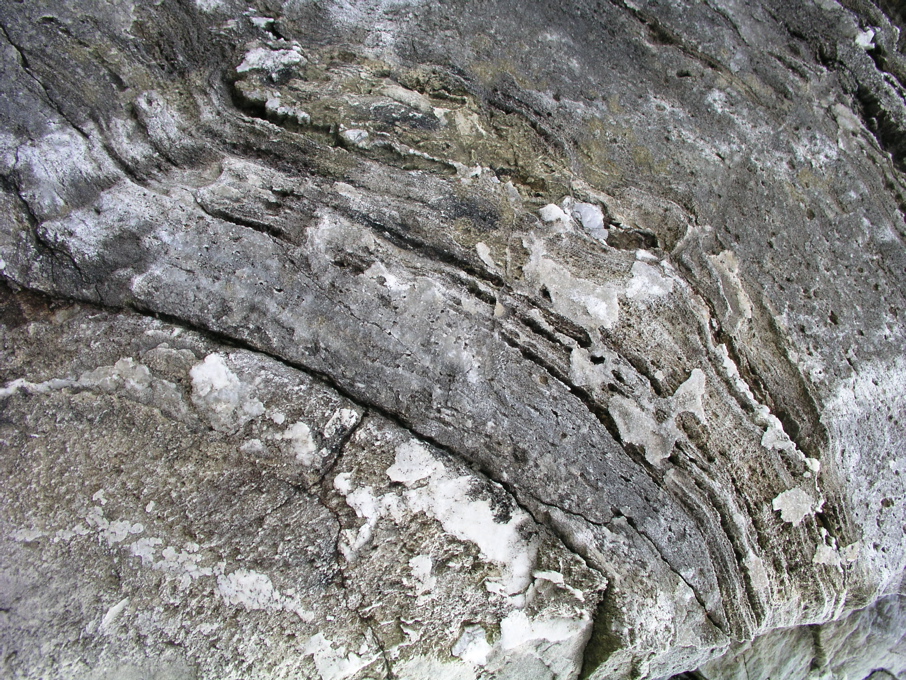P1010133.JPG