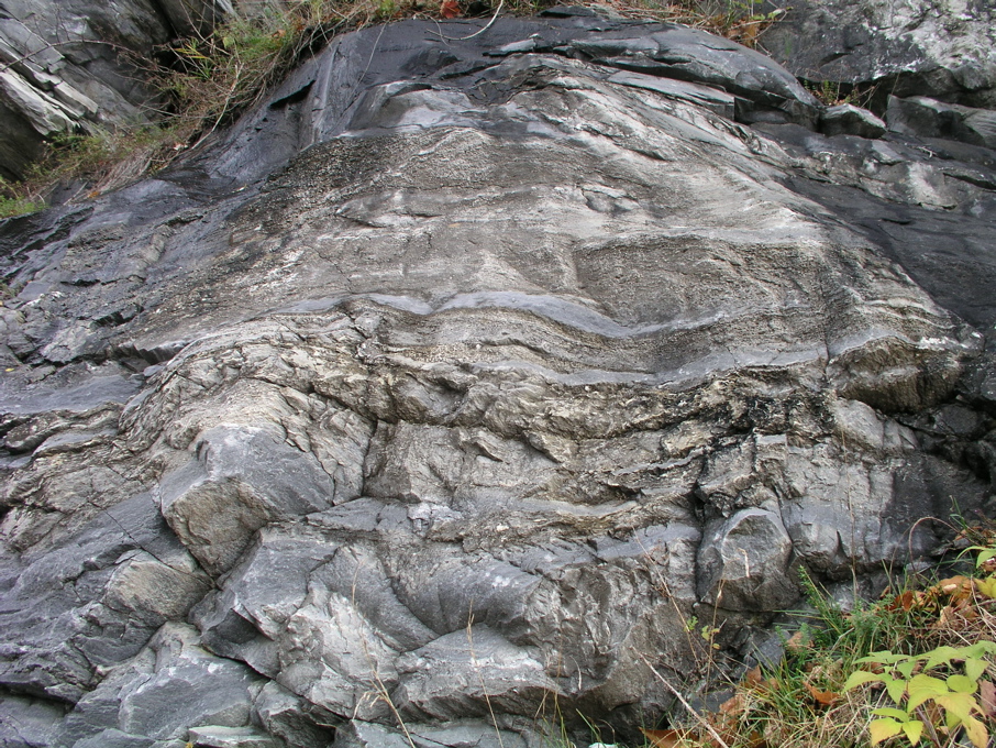 P1010134.JPG