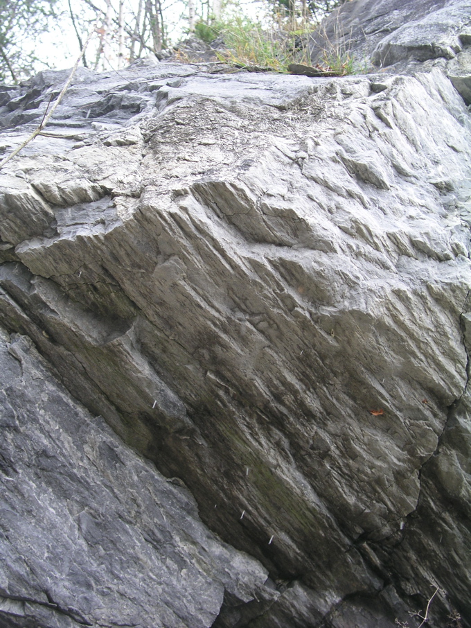 P1010135.JPG