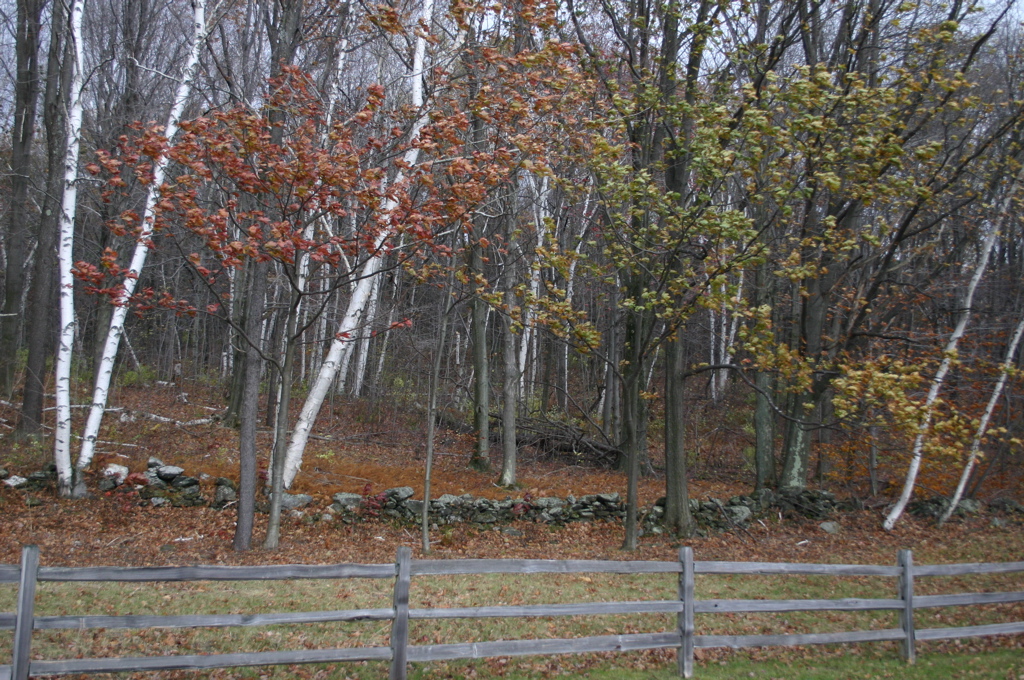 IMG_1656.JPG