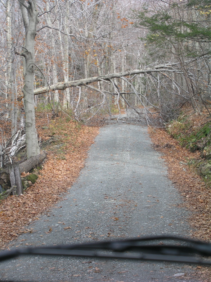 P1010137.JPG