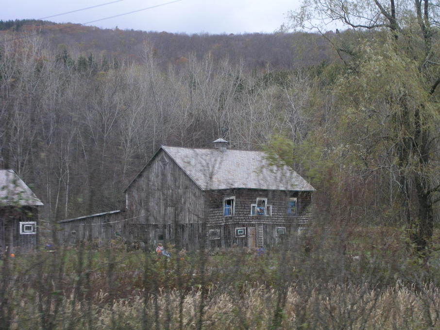 P1010138.JPG