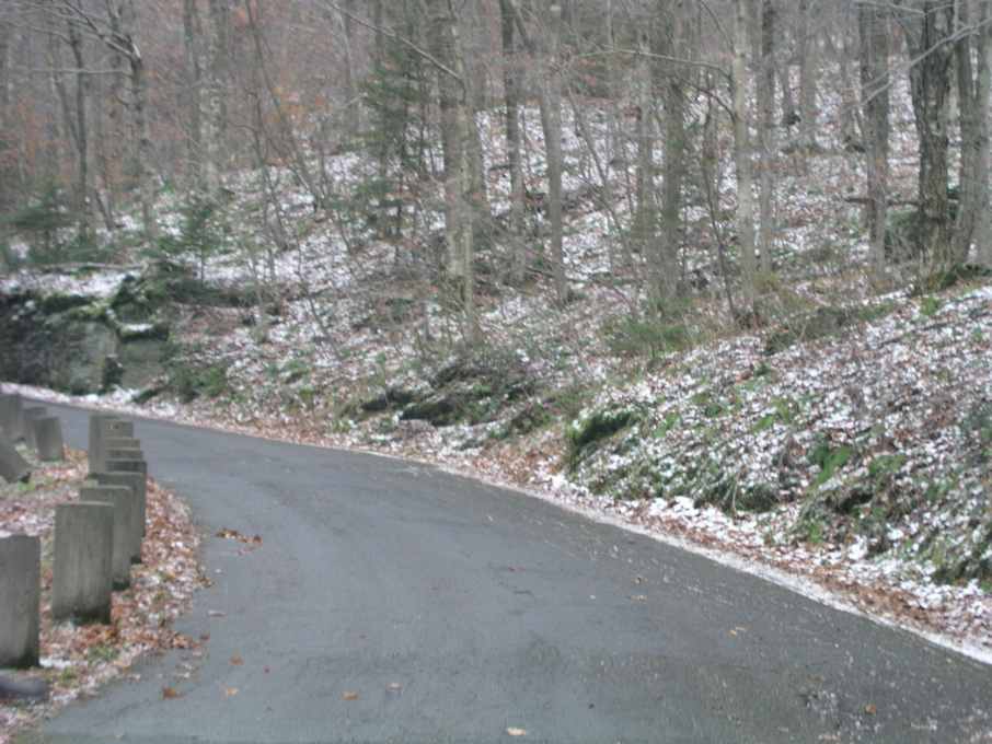 P1010142.JPG