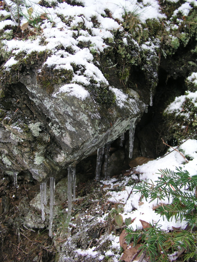P1010144.JPG