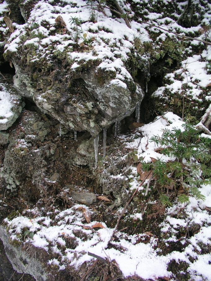 P1010145.JPG