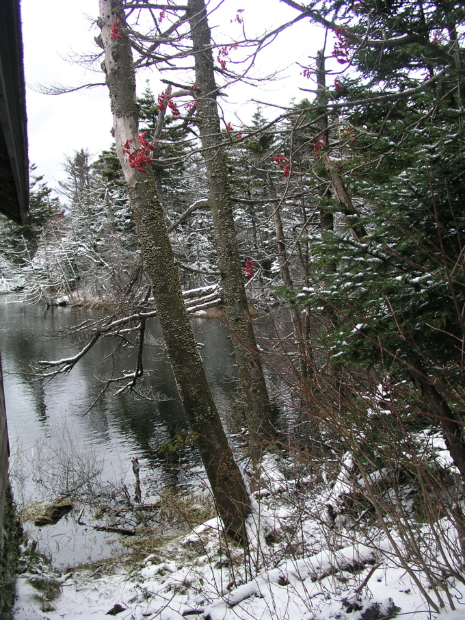 P1010149.JPG