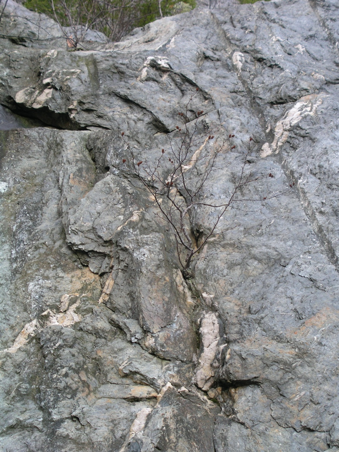 P1010159.JPG