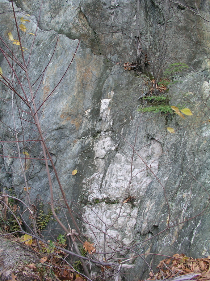 P1010161.JPG