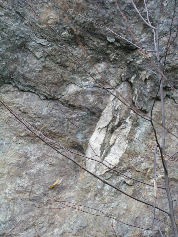 P1010164.JPG