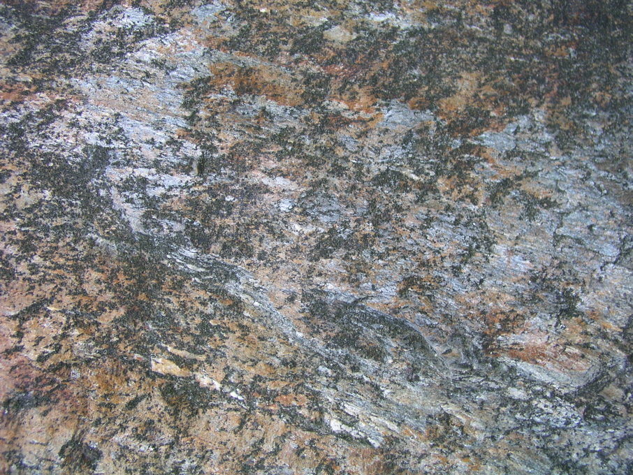 P1010168.JPG