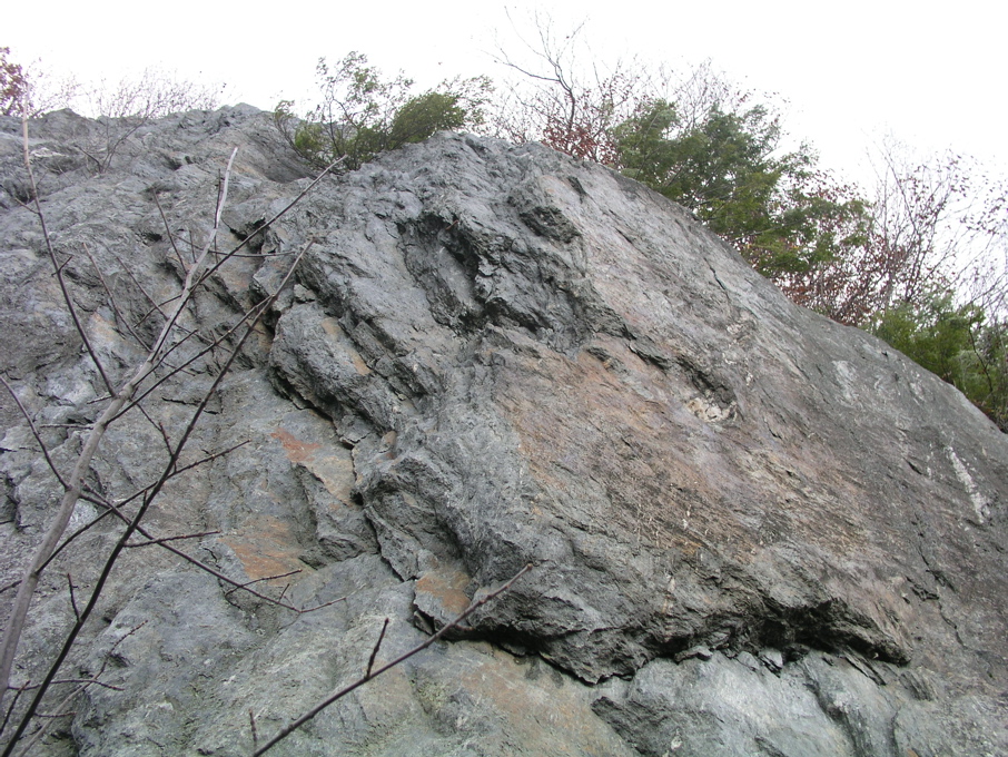 P1010174.JPG