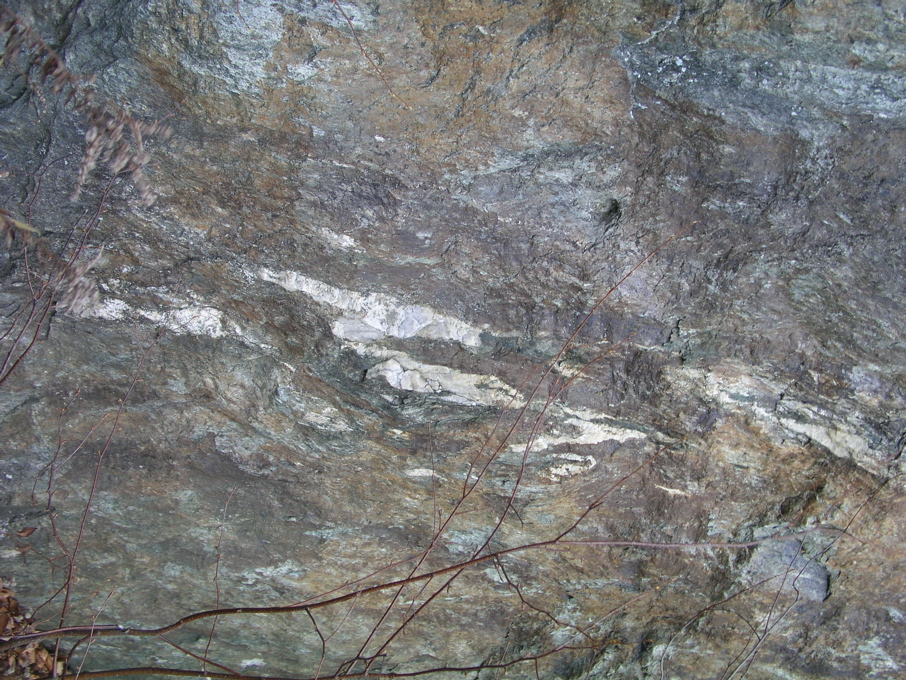 P1010175.JPG