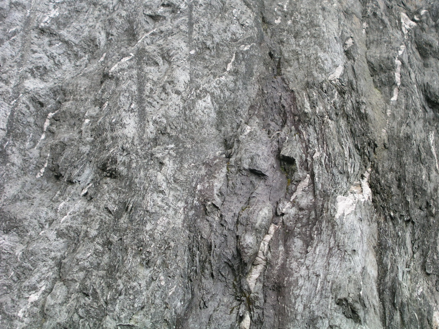 P1010177.JPG