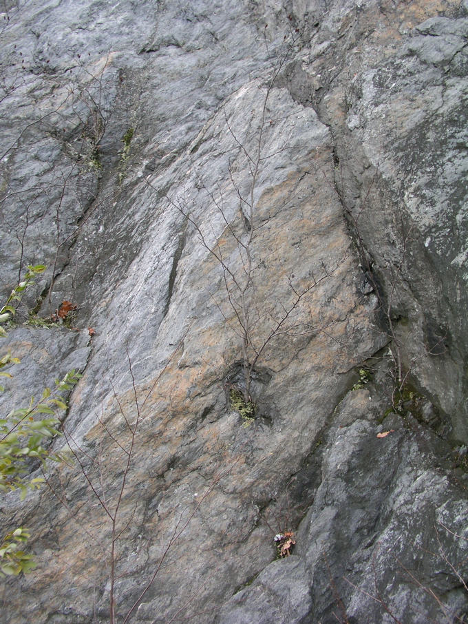 P1010178.JPG