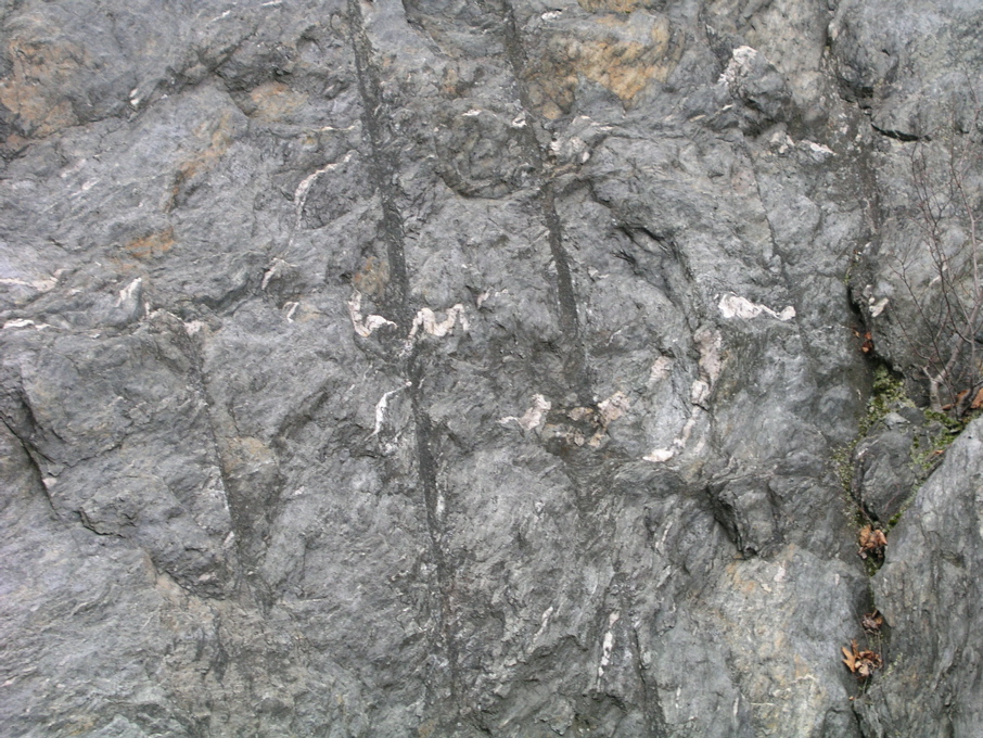 P1010179.JPG