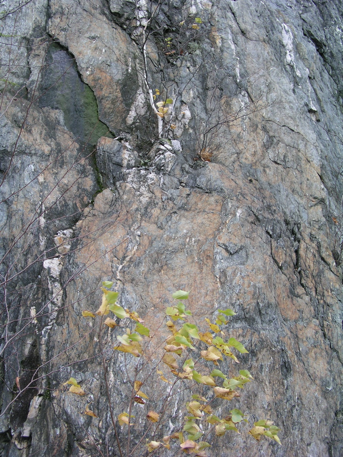 P1010180.JPG