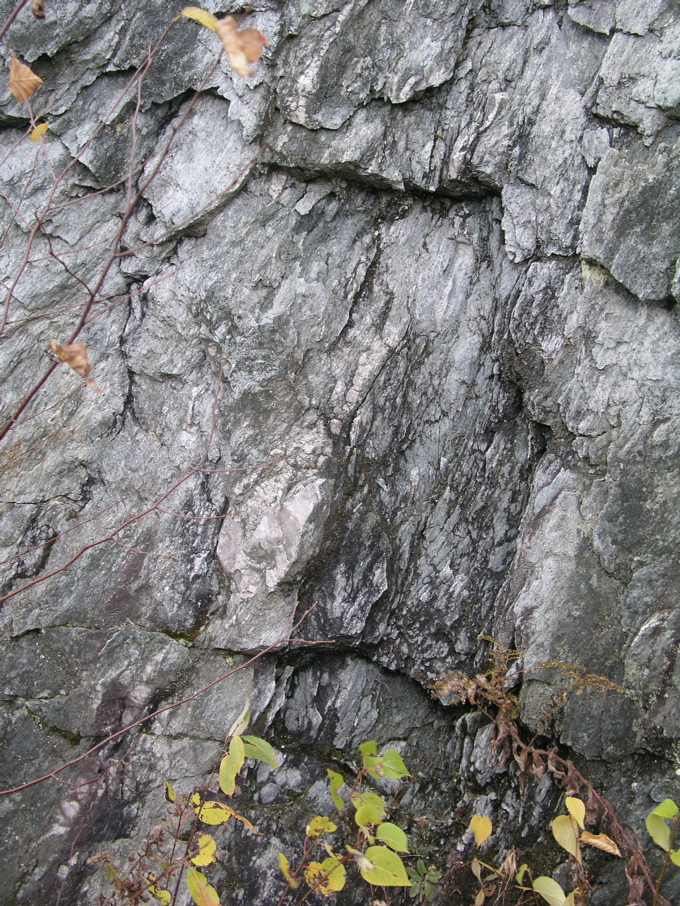 P1010181.JPG