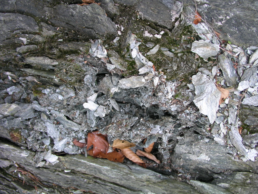P1010184.JPG