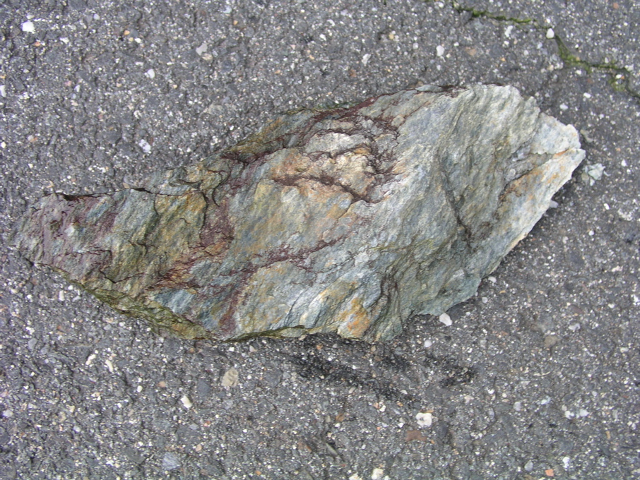P1010187.JPG