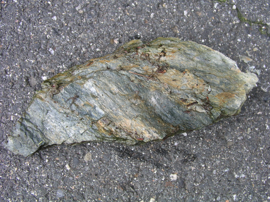 P1010188.JPG